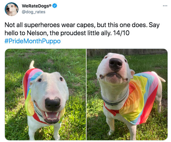 Nelson's @dog_rates Rating