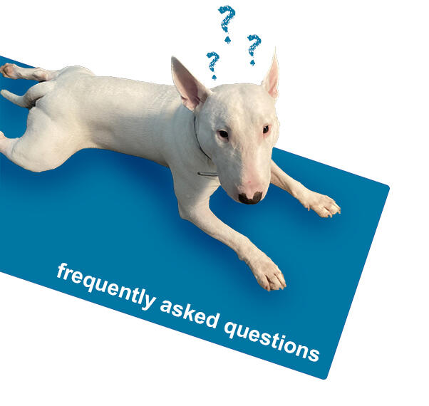 FAQ Nelson